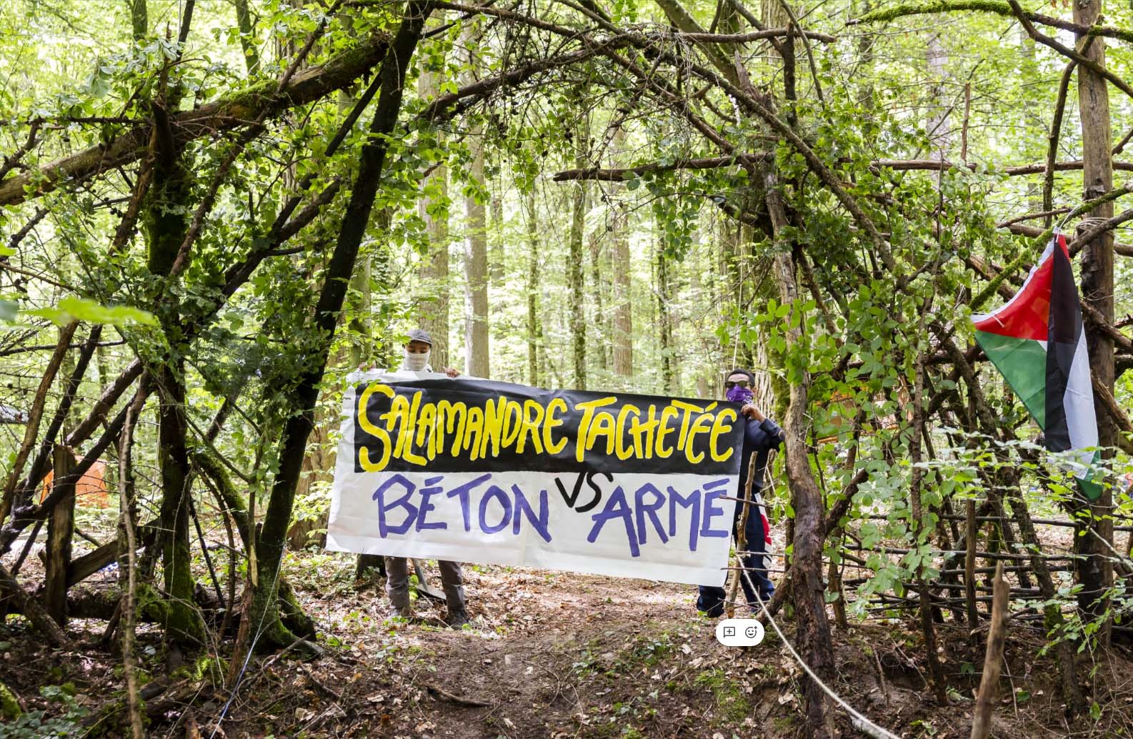Occupé en 2024 par des activistes du mouvement Grondements des terres, le bois de Ballens fait l’objet d’une mobilisation citoyenne contre le béton. - image 1
