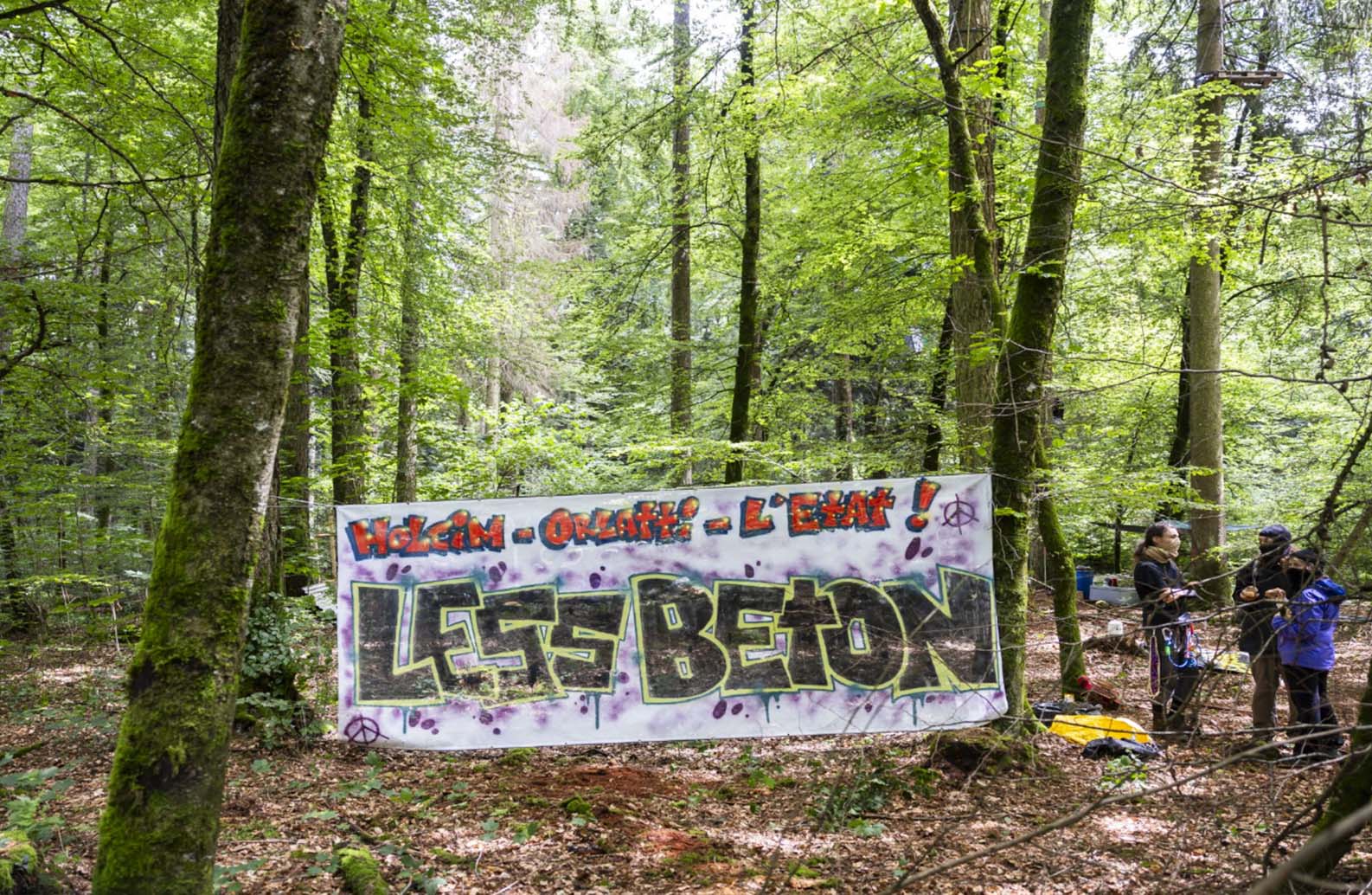 Occupé en 2024 par des activistes du mouvement Grondements des terres, le bois de Ballens fait l’objet d’une mobilisation citoyenne contre le béton. - image 2