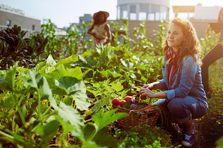 BLICK-Dossier: Alles rund ums Thema Garten, Pflanzen, Kräuter